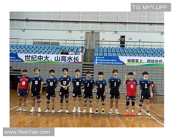 南京排球队在城市联赛中的技术表现分析与点评